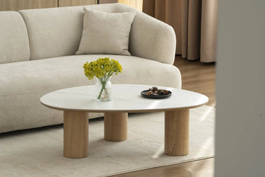 Table Basse de Salon DONA - 120 x 80 x 35 cm