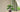 Plante-Artificielle-Luxe-Le-Guide-Complet-pour-un-Intérieur-Chic-Naturel 