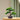 Plante-Artificielle-Luxe-Le-Guide-Complet-pour-un-Intérieur-Chic-Naturel 