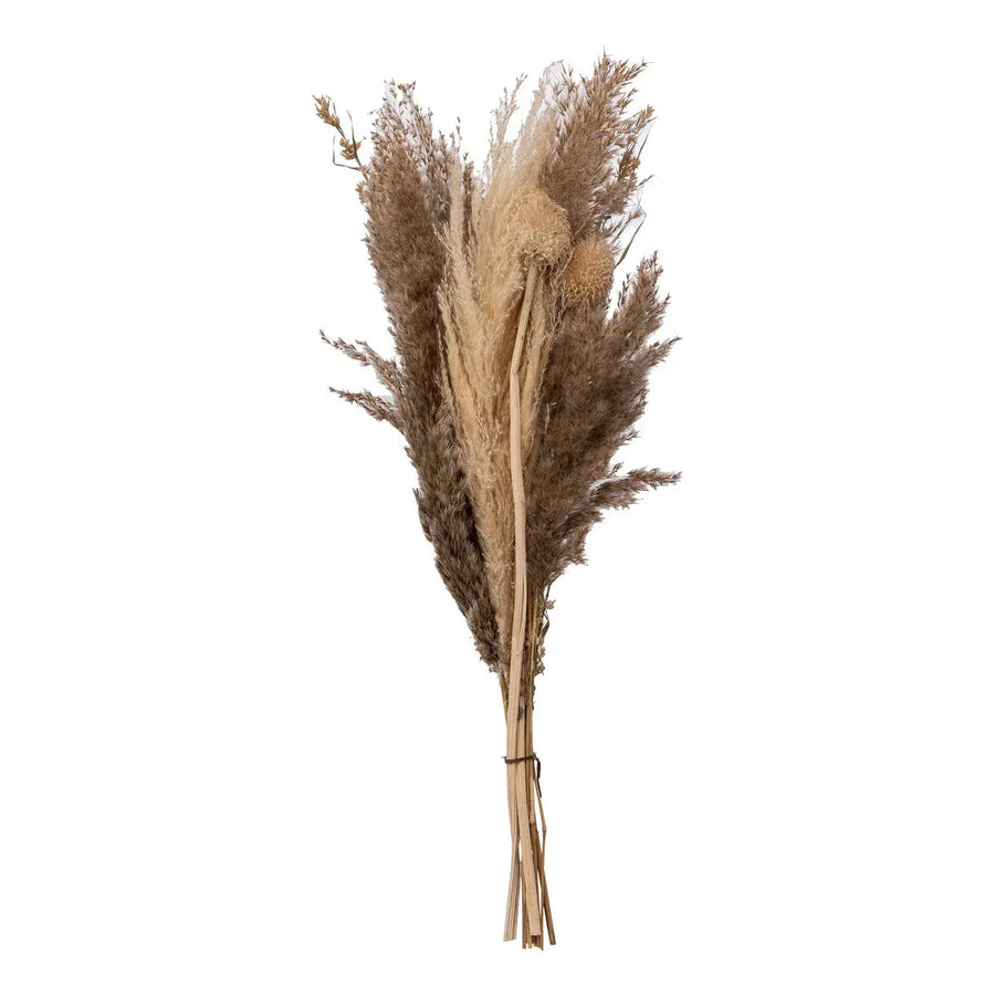 Bouquet de pampas séchées Ori Blanc ivoire, H.58 cm